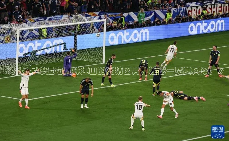 意昂体育官网注册一径科技