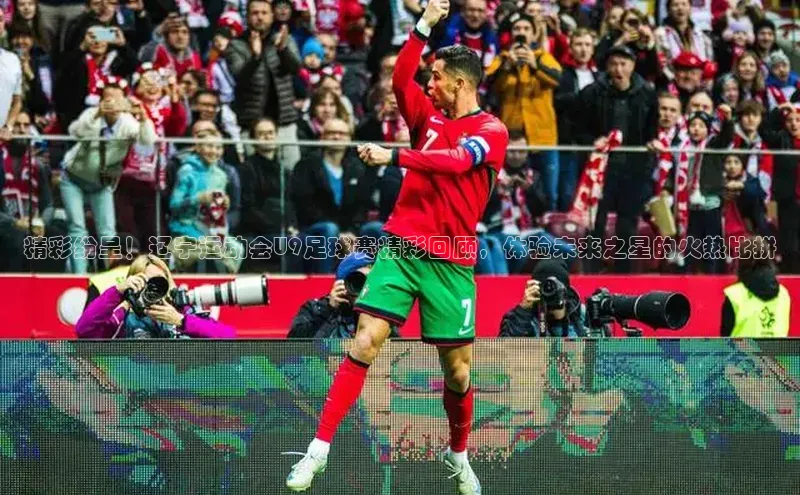 意昂体育宇信科技