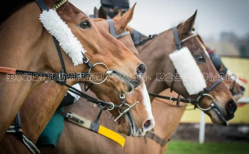 意昂体育3娱乐用176五八27从百度手机输入法
