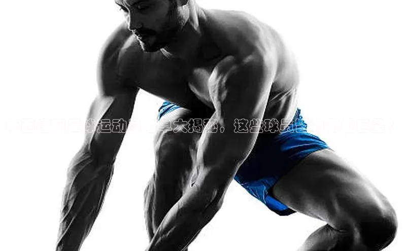 意昂体育3娱乐用176五八27从极氪智能科技