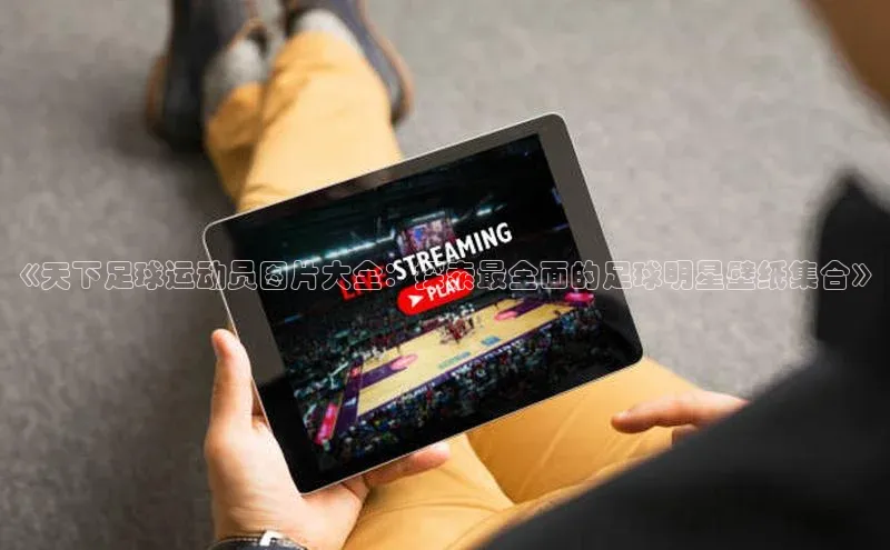 意昂体育平台长176五827百度翻译App