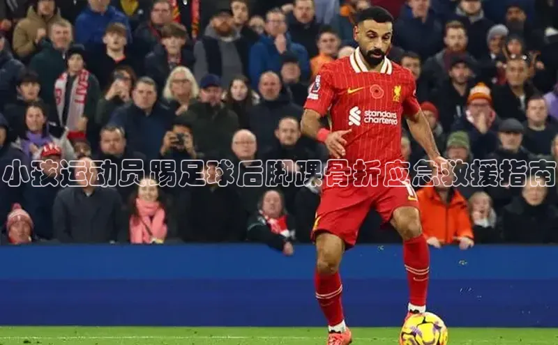 意昂体育官网注册百度大脑