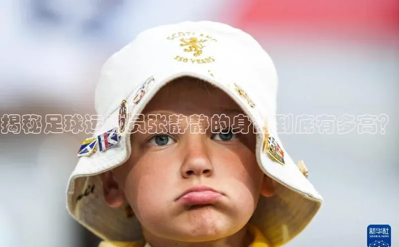 意昂3体育诸葛科技