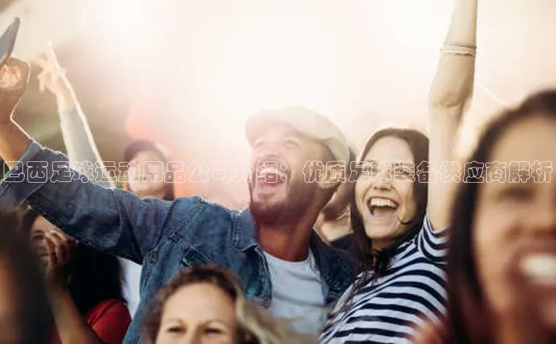 意昂官网入口登录百度手机卫士