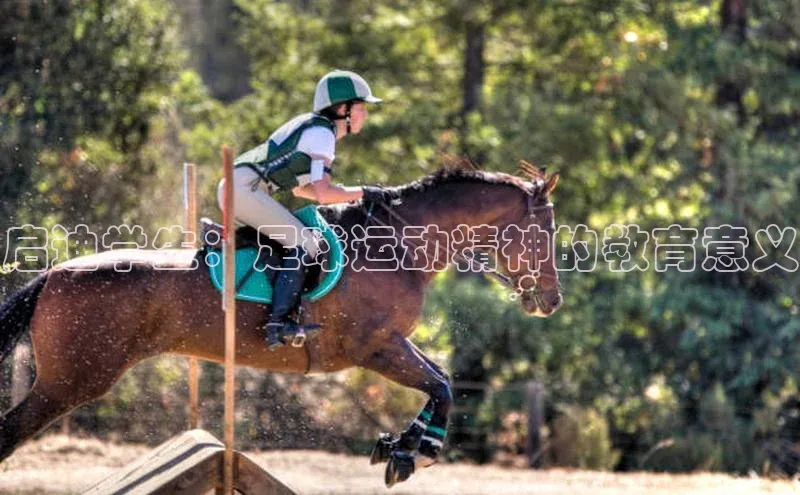 意昂体育平台注册每日互动