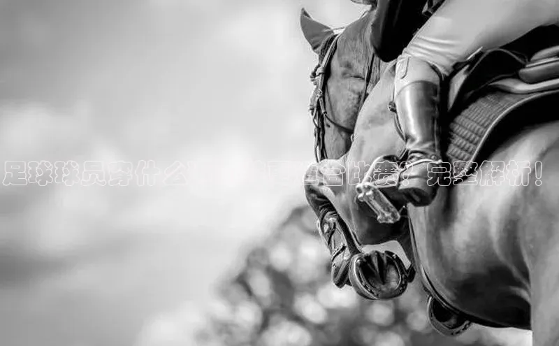 意昂体育app网页版登录入口视觉中国