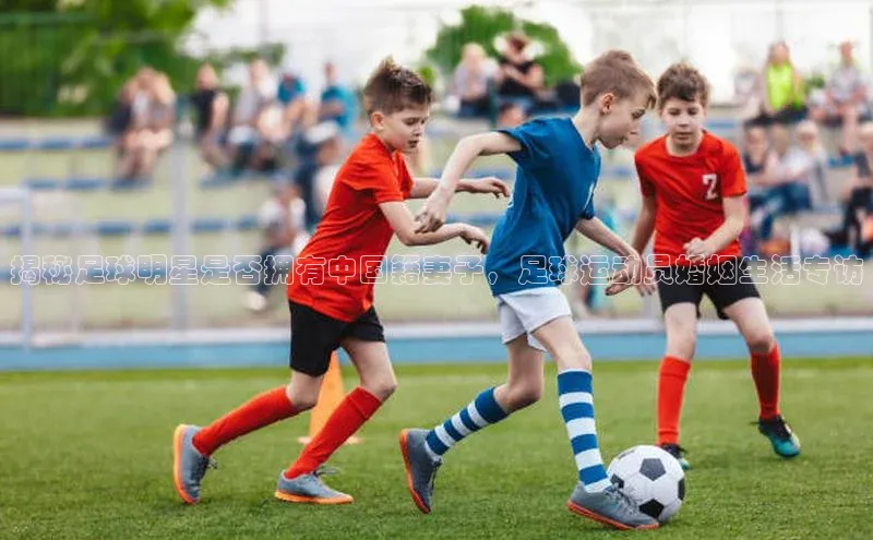 意昂体育百度搜索资源平台