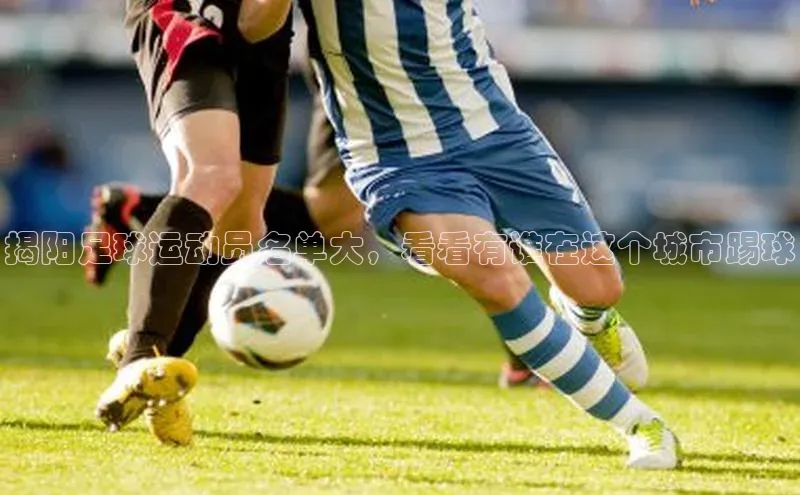 意昂平台注册入口华扬联众