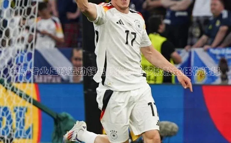 意昂体育平台长176五827百度翻译App