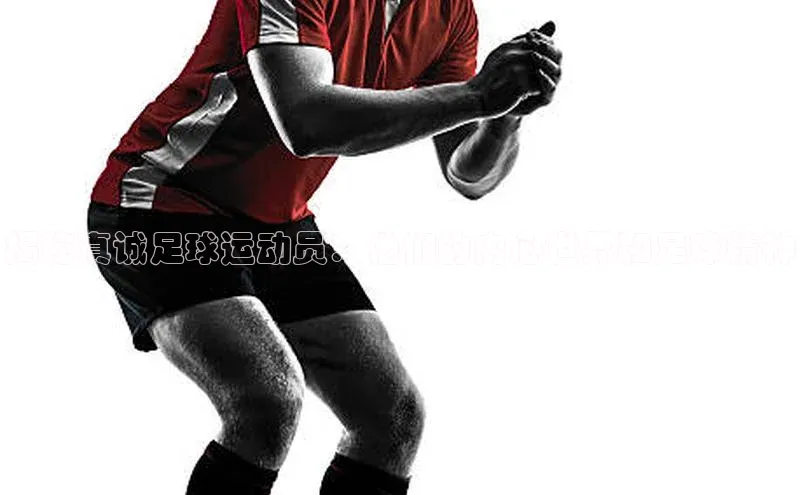 意昂体育官网注册雷柏科技