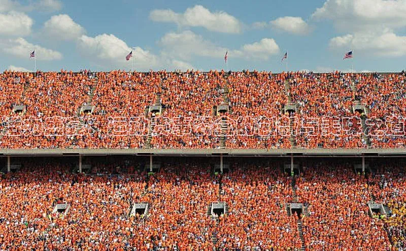 意昂官网入口登录